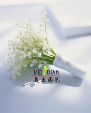手捧花1