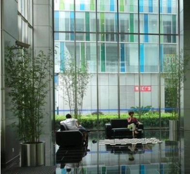 紫竹国际大厦室内外绿化项目